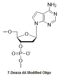 Bio-Synthesis Inc. Oligo Structure